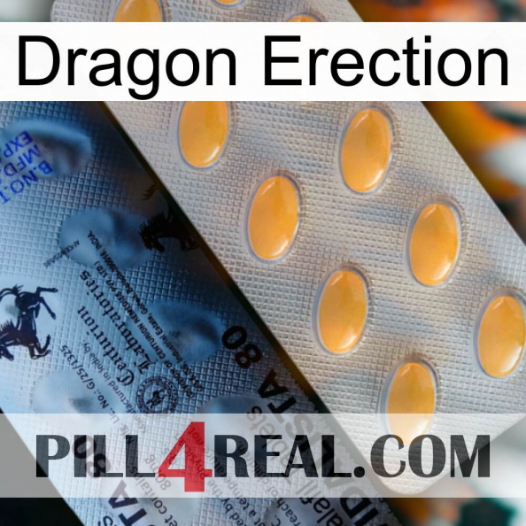 Dragon Erection 44.jpg